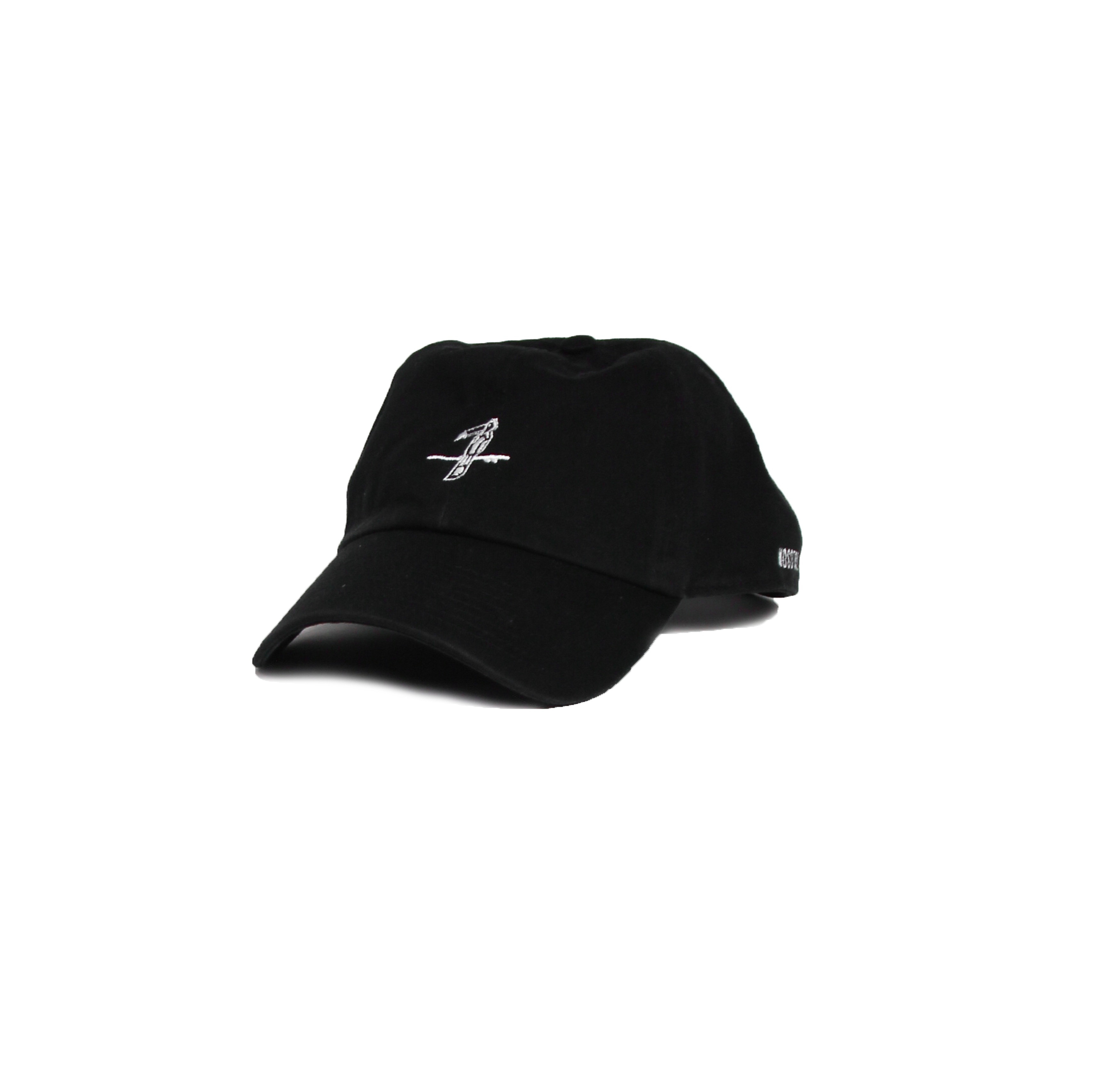 The Nosotros Toucan Dad Cap